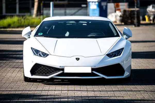 Casino Dogs Fortune Android/iOS aplikacija